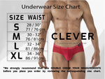 Clever 1605 Spirit Briefs Color Gray