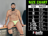 Pikante PIK 1090 Burly Mesh Trunks Color Black